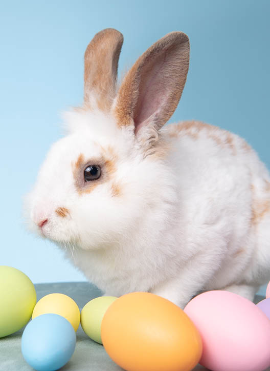 Special-Gutscheinshop