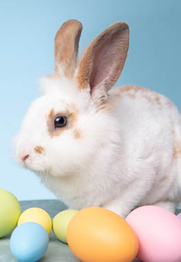 Special-Gutscheinshop